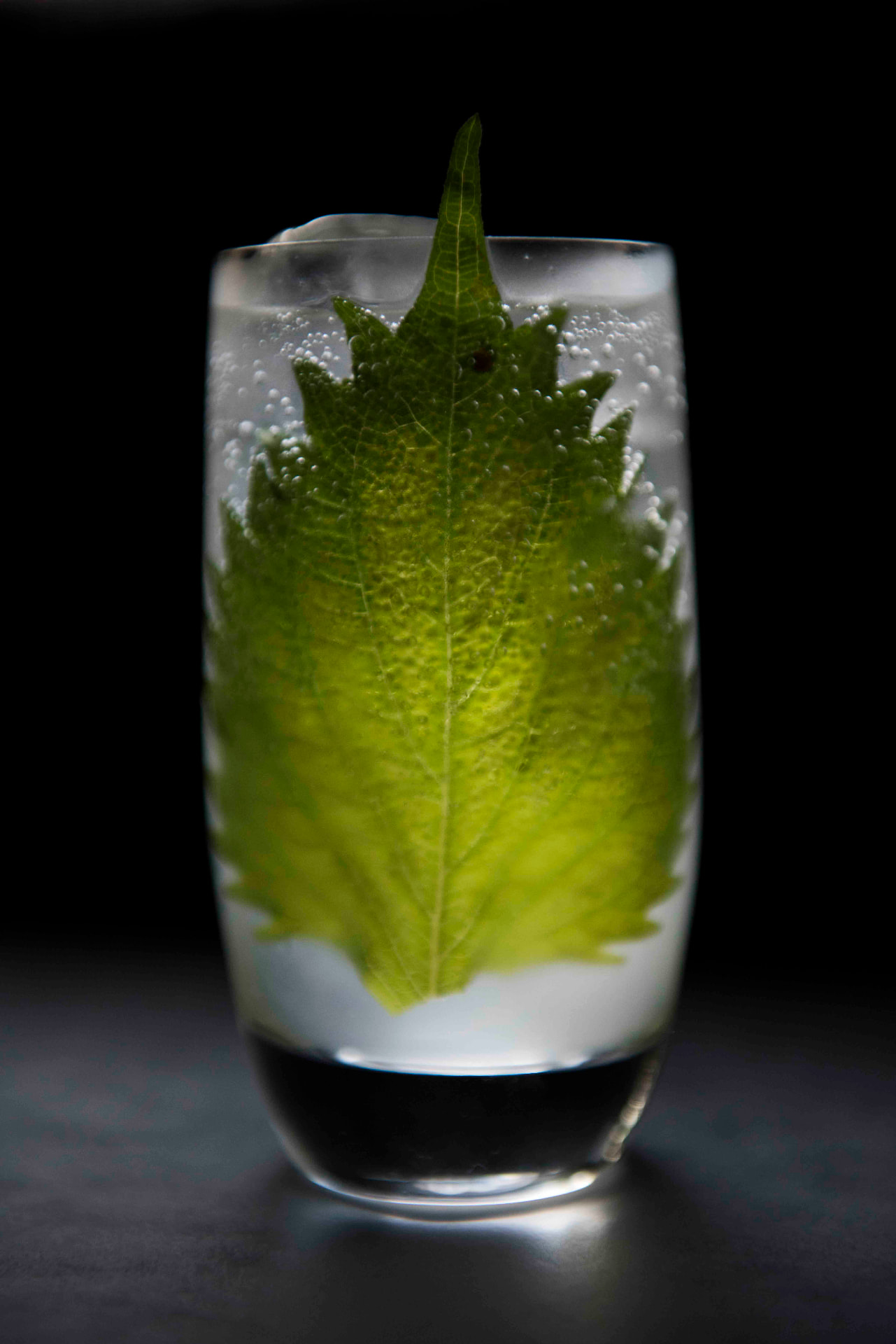 Sparkling yuzushu highball garnished with a shiso leaf